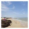 Matagorda_MH31116_cp