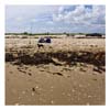 Matagorda_MH31125_cp