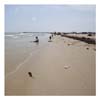 Matagorda_MH31152_cp