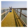 Matagorda_MH31272_cp